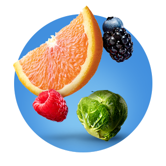 The Fresh Lane Blog