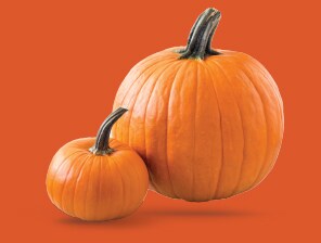 Two pumpkins