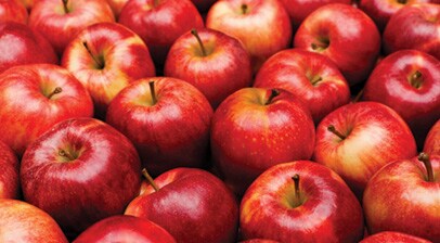 a bunch of red apples