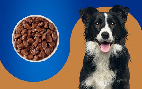 Pet pride sales dog treats recall