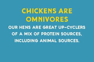 Cage Free