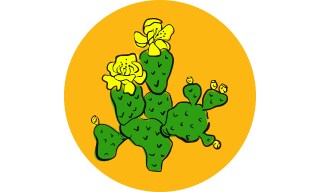 Opuntia: Prickly Pear