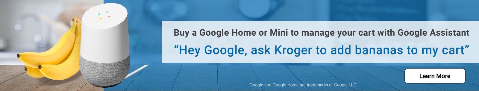 eSpot_Google Home Assistant