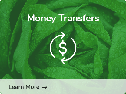 Money Transfers