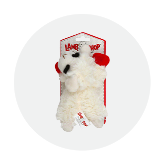 Pet Toys