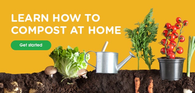 Learn How to Compost