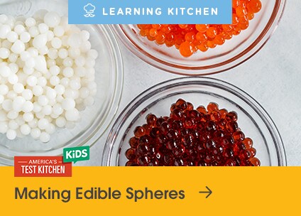 Making Edible Spheres Article