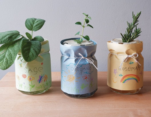 Home Hydroponics: herbs in jars Home Hydroponics: herbs in jars