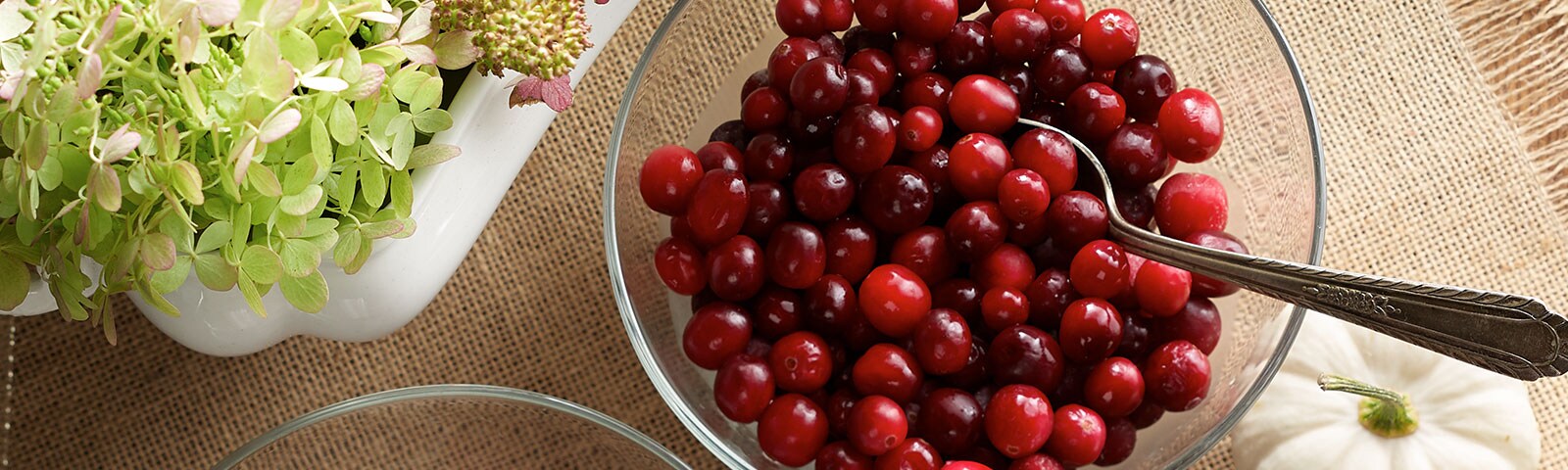 Fresh cranberries in a glass bowl on a brown tablecloth 