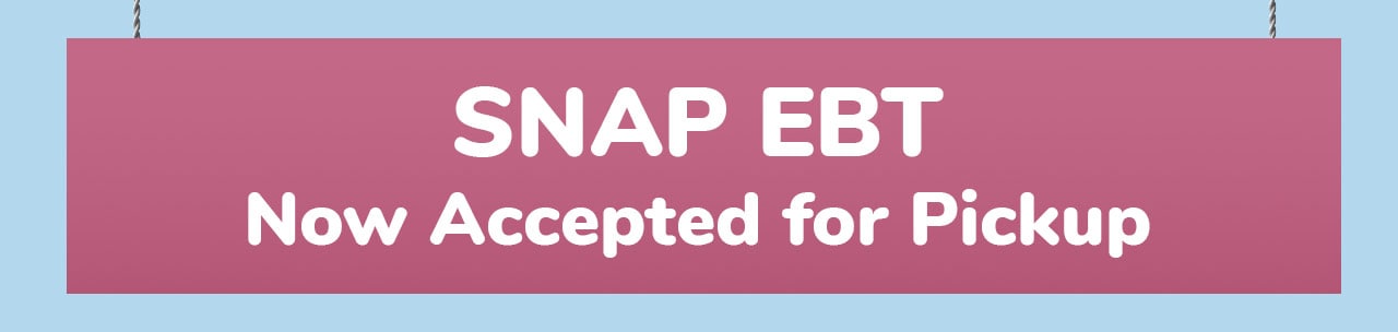 Snap EBT Hero
