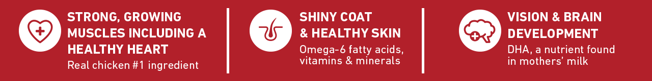 strong growing muscles, shiny coat, and vision and brain development strong growing muscles, shiny coat, and vision and brain development